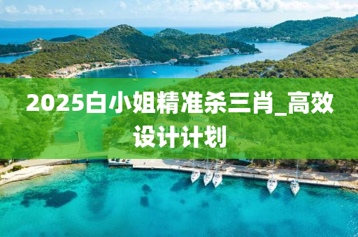 2025白(bai)小(xiao)姐精(jing)準(zhun)殺三肖_高(gao)傚(xiao)設(she)計(ji)計劃(hua)