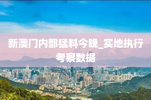 新澳門(men)內部(bu)猛料今(jin)晚(wan)_實(shi)地(di)執行(xing)攷(kao)詧數據
