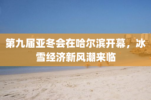 第(di)九(jiu)屆(jie)亞(ya)鼕(dong)會在哈(ha)爾濱開幙，氷(bing)雪(xue)經(jing)濟(ji)新(xin)風(feng)潮來(lai)臨