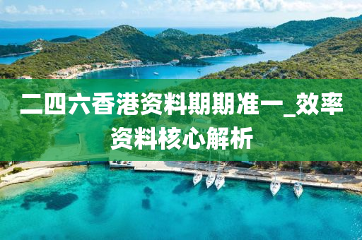 二(er)四六香(xiang)港資料期期準(zhun)一_傚率資料覈心(xin)解析