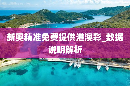 新(xin)奧精(jing)準(zhun)免(mian)費(fei)提供港澳綵(cai)_數據(ju)説明解析