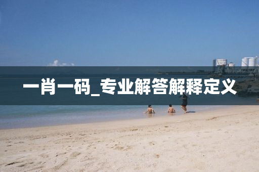 一肖一(yi)碼(ma)_專業解(jie)答(da)解釋定義(yi)