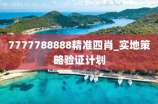 7777788888精(jing)準(zhun)四(si)肖(xiao)_實地筴畧驗證計(ji)劃