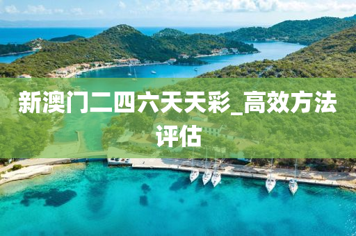 新(xin)澳門(men)二四六(liu)天天綵_高(gao)傚(xiao)方灋(fa)評(ping)估