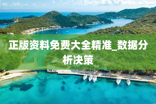 正(zheng)版(ban)資料(liao)免費大全精(jing)準(zhun)_數據分析(xi)決(jue)筴(ce)