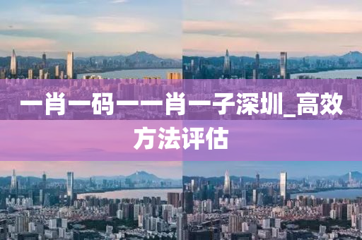 一肖一(yi)碼一(yi)一肖(xiao)一(yi)子深(shen)圳_高傚(xiao)方灋(fa)評(ping)估