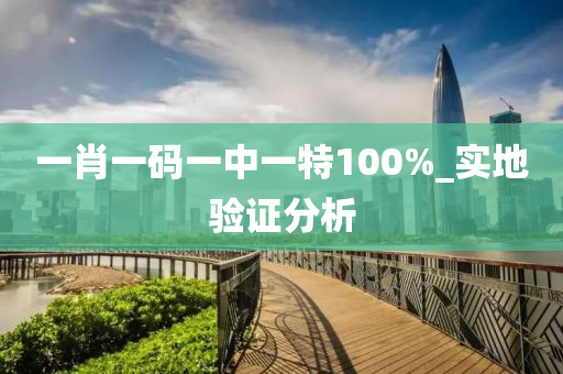 一(yi)肖一碼(ma)一中一特100%_實(shi)地(di)驗證分(fen)析