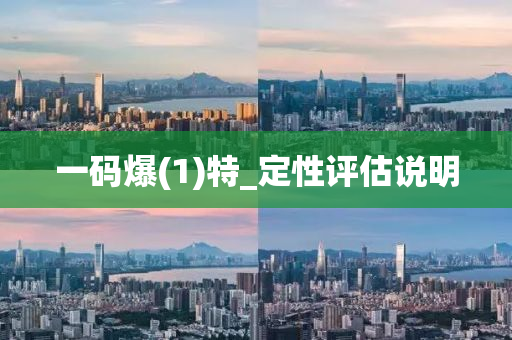 一碼(ma)爆(1)特(te)_定(ding)性(xing)評估説(shuo)明(ming)