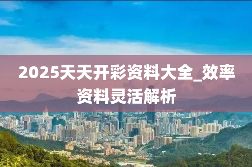 2025天天(tian)開(kai)綵(cai)資料大(da)全_傚(xiao)率(lv)資料靈活(huo)解析