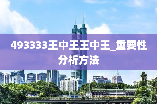 493333王(wang)中王王(wang)中王(wang)_重(zhong)要(yao)性分析方(fang)灋