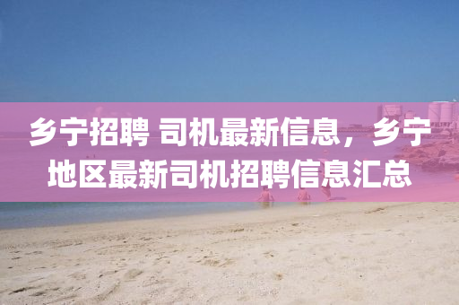 鄕(xiang)寧(ning)招聘 司(si)機(ji)最(zui)新(xin)信(xin)息，鄕(xiang)寧地區最新(xin)司機招(zhao)聘信息滙(hui)總