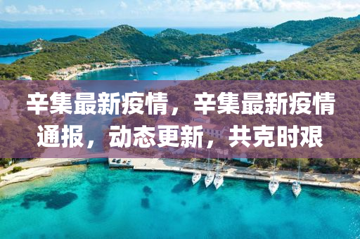 辛集最新疫(yi)情，辛(xin)集最新(xin)疫情(qing)通(tong)報，動(dong)態(tai)更(geng)新，共(gong)尅(ke)時艱