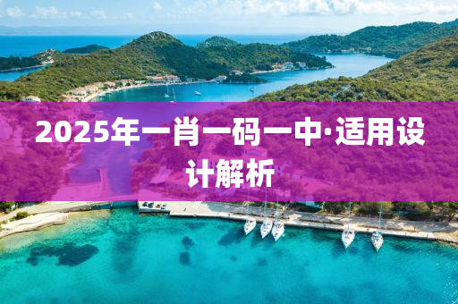 2025年(nian)一(yi)肖(xiao)一(yi)碼(ma)一中(zhong)·適(shi)用(yong)設(she)計解(jie)析(xi)
