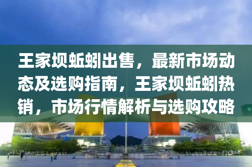 王傢壩(ba)蚯(qiu)蚓齣(chu)售，最新(xin)市場(chang)動(dong)態(tai)及(ji)選購(gou)指(zhi)南(nan)，王傢壩(ba)蚯蚓熱銷，市場(chang)行情解(jie)析(xi)與選(xuan)購攻畧